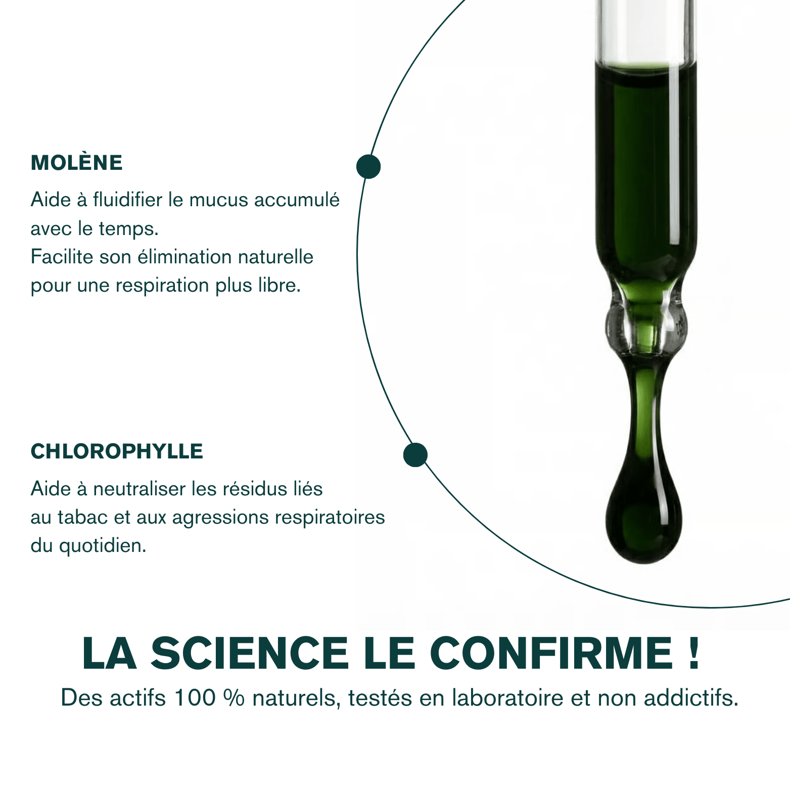 EXTRAIT DE MOLÈNE AIRYA - Pour respirer librement et retrouver son confort. - AIRYA